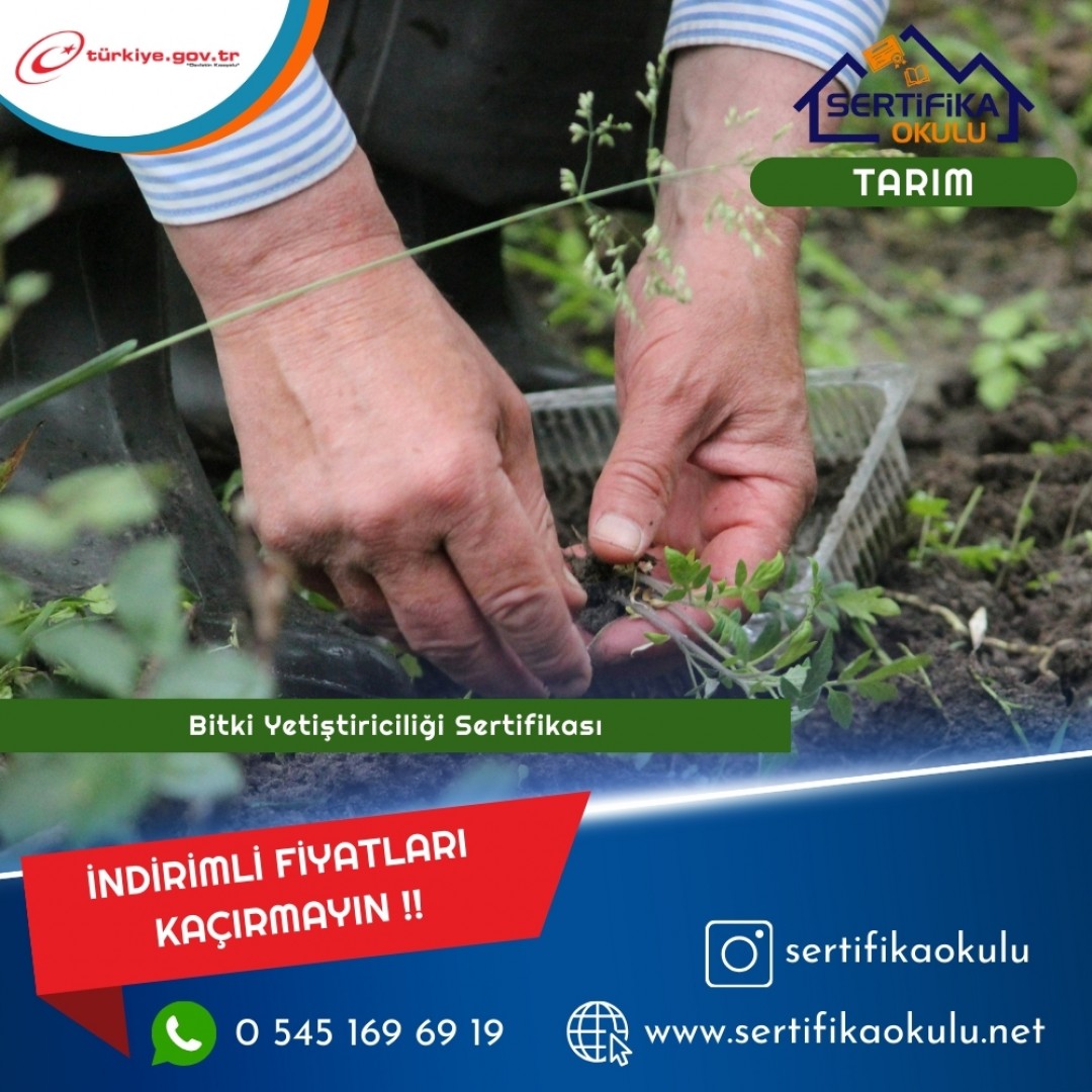 Bitki Yetiştiriciliği Sertifikası