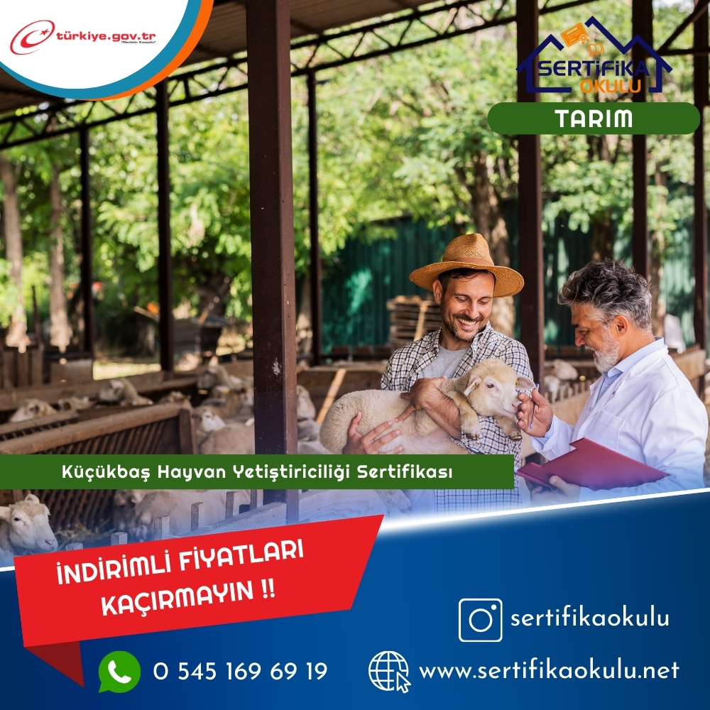 Küçükbaş Hayvan Yetiştiriciliği Sertifikası